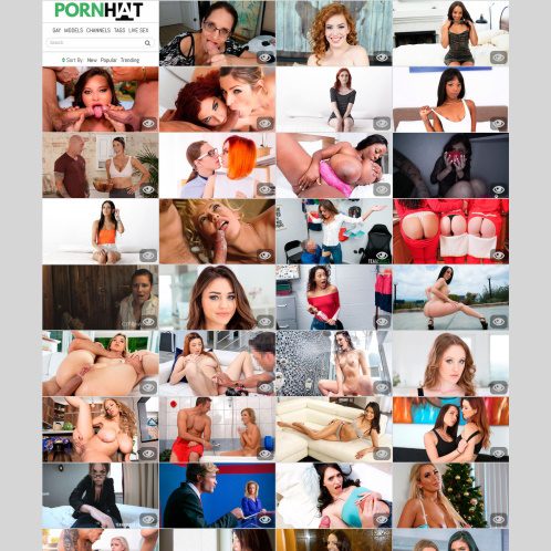 PornHat [PornHat.com] Best Sites like PornHat | TopPornGuide.comÂ®